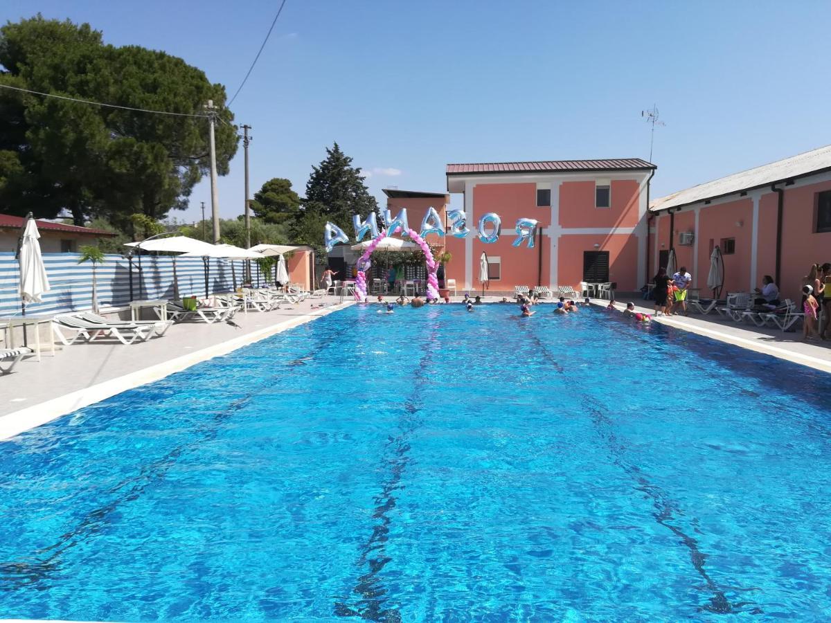 Due Delfini